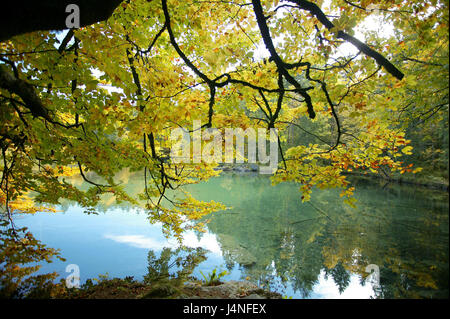 Deutschland, Bayern, Grainau, Bader See, Baum, Herbstlaub, detail, Süddeutschland, Oberbayern, Ziel, Kurort, Ort von Interesse, See, Holz, Bäume, Wasser, draußen, Herbst, herbstliche, Ruhe, Idylle, Verfärbungen, menschenleer, Spiegelung, Wasser Oberfläche, Stockfoto