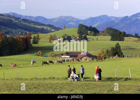 Deutschland, Bayern, Allgäu, Herbst, buchen, Familie, Spaziergang, Wiese, Berge, Kühe, Stockfoto