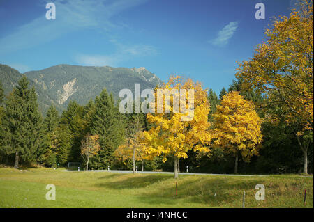 Deutschland, Bayern, Grainau, Bäume, Herbstlaub, Berge, sonnig, Süddeutschland, Oberbayern, Reiseziel, Kurort, Holz, draußen, Herbst, herbstliche, Ruhe, Idylle, Verfärbungen, verlassenen, Straße, Himmel, Stockfoto