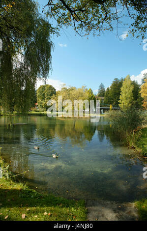 Deutschland, Bayern, Grainau, Kurpark, See "Vorwärmer", Enten, Süddeutschland, Oberbayern, Kurort, Saison, Herbst, herbstliche, sonnig, Bäume, Laub, Verfärbung, Teich, Wasser, Tiere, Idylle, draußen, menschenleer, Stockfoto