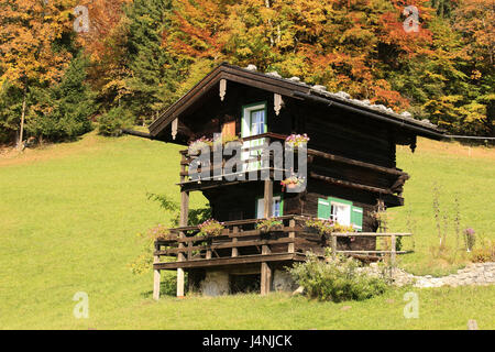 Deutschland, Oberbayern, Berchtesgadener Land, Berchtesgadener Alpen, Holzhaus, Bauernhaus, Herbst, Stockfoto