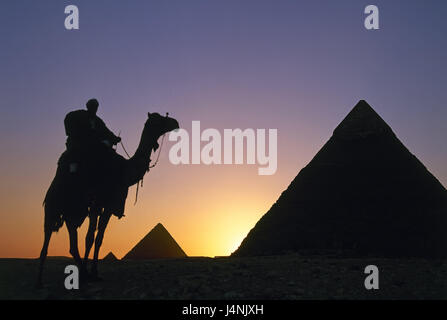 Ägypten, Gizeh, Pyramiden, Kamel blutet, Silhouette, Sonnenuntergang, Afrika, Strukturen, historisch, weltberühmt, berühmt, Sehenswürdigkeiten, Sehenswürdigkeit, Architektur, Kultur, historisch, UNESCO-Weltkulturerbe, Reiseziel, Tourismus, Mann, Berber, Kamelritt, tuning, Abend, Abenddämmerung, Stockfoto