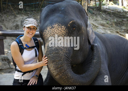 Thailand, Chiang Mai, Elefantencamp, Tourist, Elefant, Schlaganfall, Stockfoto