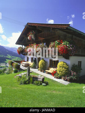 Österreich, Tirol, Brixental, Brixen im Thale, Bauernhof, Berge, Landschaft, ländlich, Haus, Wohn Haus, Architektur, Blumen, Blumenschmuck, außerhalb, sonnig, verlassenen, Brunnen, Stockfoto