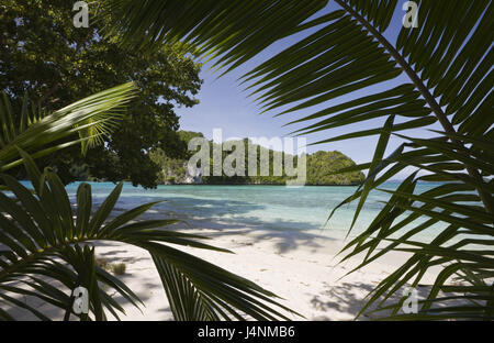 Palau, Rock Island, Sandstrand, Palmen, Detail, Stockfoto