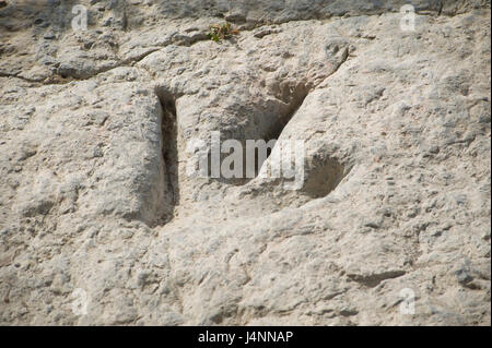 Spuren des theropode Dinosaurier. Valdecevillo Ort in der Nähe von ENCISO Dorf, La Rioja, Spanien. Stockfoto