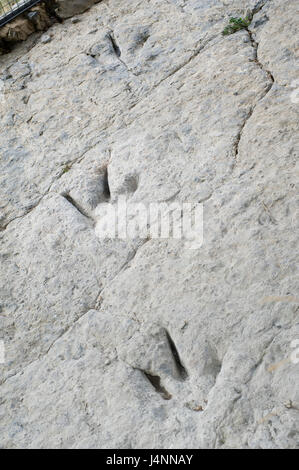 Spuren des theropode Dinosaurier. Valdecevillo Ort in der Nähe von ENCISO Dorf, La Rioja, Spanien. Stockfoto