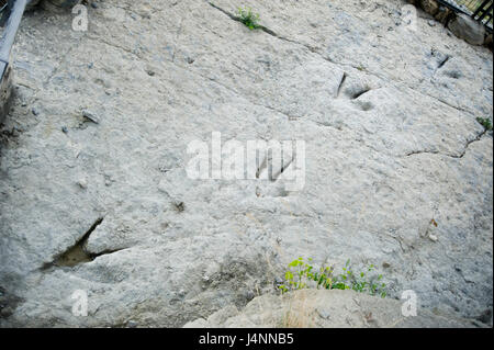 Spuren des theropode Dinosaurier. Valdecevillo Ort in der Nähe von ENCISO Dorf, La Rioja, Spanien. Stockfoto