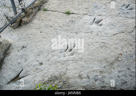 Spuren des theropode Dinosaurier. Valdecevillo Ort in der Nähe von ENCISO Dorf, La Rioja, Spanien. Stockfoto