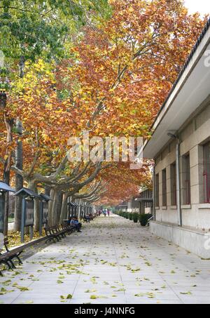 70088381 - schöne Herbst in der Stadt Xian, china Stockfoto