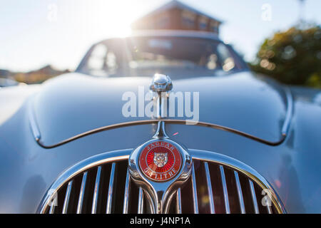 der Jaguar Auto Firma Emblem oder Marke auf dem vorderen Grill bei Liverpool Cars und Kaffee, ein Petrolheads treffen sich zum Auto und Automobil-Enthusiasten. Stockfoto