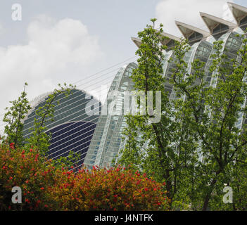 Ein Calatrava Architektur Prinzen Filipe Science Museum im Kulturzentrum der Stadt der Künste und Wissenschaft aus den Turia Gärten in Valencia, Spanien Stockfoto