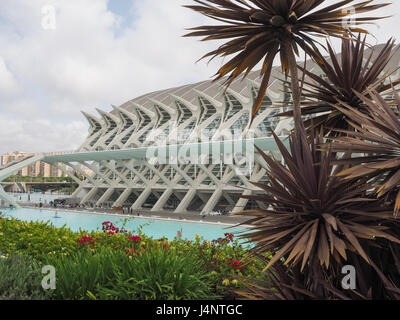 eine Calatrava Architektur Prinz Filipe Science Museum kulturelle Zentrum Stadt der Künste und Wissenschaft mit Pflanzen im Vordergrund Valencia, Spanien Stockfoto