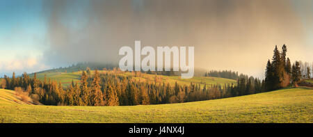 Nebel über Sommer Hügel am Morgen. Blick auf Wiese. Strahlende Sonne beleuchten Berglandschaft. Stockfoto