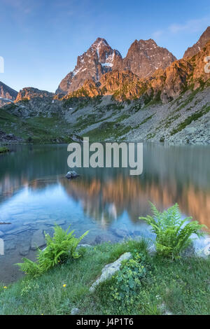 Sonnenaufgang auf dem Monviso und Visolotto vom Ufer des Lago Fiorenza, Crissolo, Po'Tal, Cuneo, Piemont, Italien. Stockfoto