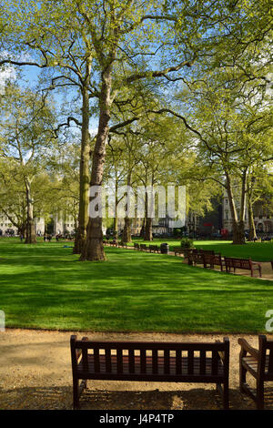 Berkeley Square, Mayfair, London, Vereinigtes Königreich Stockfoto