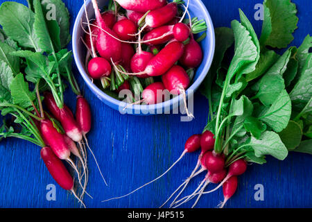 Frische Radieschen in blau Schüssel. Ansicht von oben. Haufen von kleinen Radieschen Stockfoto