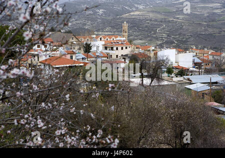 Zypern, Omodos, Weindorf, Troodos-Gebirge, Insel im Mittelmeer, Insel, im Landesinneren, Ort, Dorf, Bergdorf, Weinbaugebiet, lokale Übersicht, Häuser, Kirche, Tourismus, Reisen, Sehenswürdigkeit, Ziel, Stockfoto