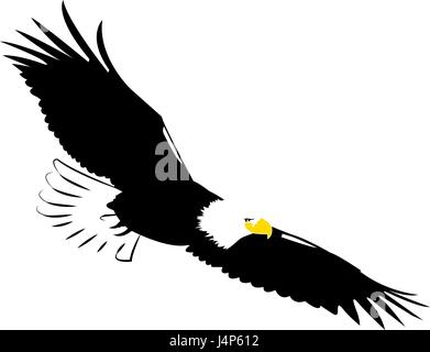 Weißkopf-Seeadler Stock Vektor