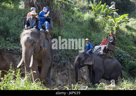 Thailand, Chiang Mai, Elefantencamp, Elefanten reiten, Tourist, Stockfoto