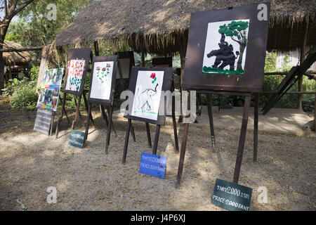 Thailand, Chiang Mai, Elefanten-Camp, "Elephant Art", Bilder, Stockfoto