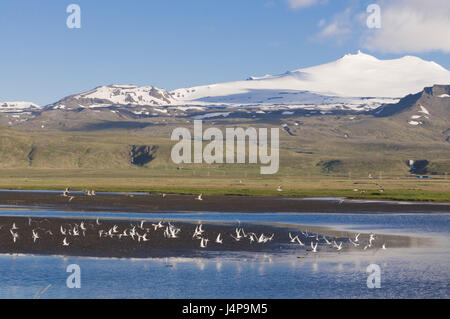 Berglandschaft, Fjord, Snaefellsjökull Nationalpark, Island, Stockfoto