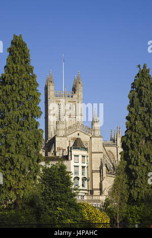 Großbritannien, England, Somerset, Bad, Kathedrale, Bäume, Detail, Stockfoto