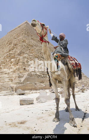 Kamel-Treiber vor der Chephren-Pyramide, Ägypten, Cairo, Stockfoto