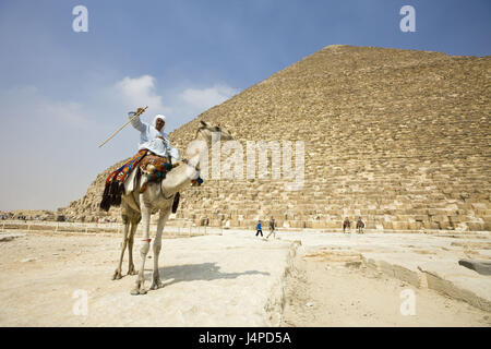 Kamel-Treiber vor der Cheops-Pyramide, Ägypten, Kairo, Stockfoto