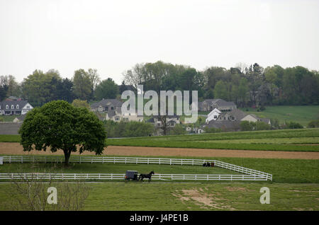 Die USA, den Vereinigten Staaten von Amerika, Pennsylvania, Lancaster Region, Amish Country, Stockfoto