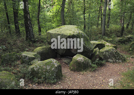 Deutschland, Niedersachsen, samt Kirchengemeinde Freren, megalithische Grabstätte, Alt-Frerener Wald, Stockfoto