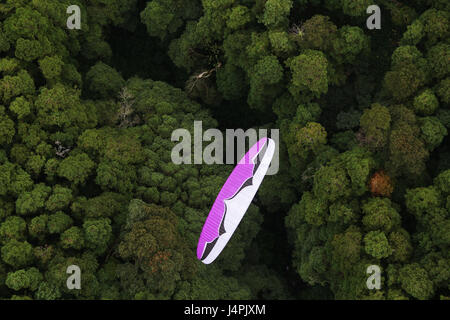 Ein Gleitschirmpilot fliegen während der 22. Azoren Paragliding Festival in der Nähe von Furnas in São Miguel, Azoren, Portugal. Stockfoto