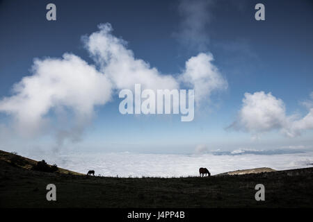 Zwei Silhouetten von Pferden auf einem Berg, unter einem großen blauen Himmel mit einigen ganz in der Nähe Wolken und über ein Tal voller Nebel Stockfoto