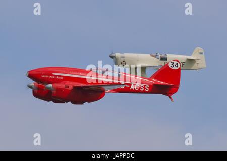 DH88 Kometen fliegen mit einem Perceval Mew Gull Stockfoto