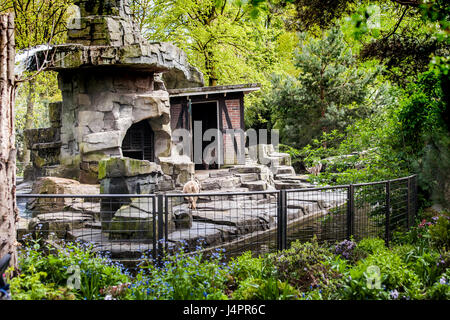 Amsterdam, Niederlande - April 2017: Besucher in Amsterdam City Zoo, Niederlande Stockfoto