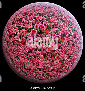 Rote Blumen auf der Kugel der Erde Stockfoto