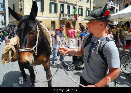 Treviso, Italien. 13. Mai 2017. Die Stadt Treviso ist überfüllt mit 500,000 Alpini-Veteranen mit ihren Maultieren und deren Familien. Wie jedes Jahr treffen sie für drei Tage von merry-Making, Musik, Berg Chöre und reichlich Getränke, die mit der großen Parade am Sonntag endet. Viele von ihnen sind Freiwillige des öffentlichen Dienstes, bereit zu helfen Menschen in Italien und im Ausland, wenn Naturkatastrophen auftreten.-Credit: Ferdinando Piezzi/Alamy Live News Stockfoto