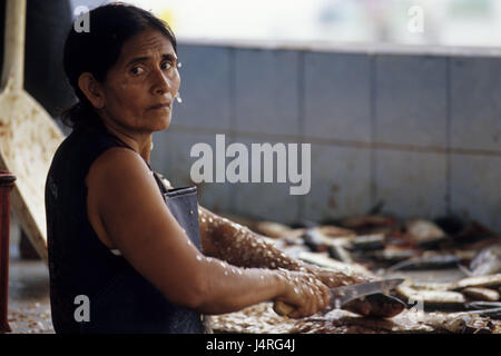 Ecuador, Puerto Lopez, Markt, Frau, Fisch, zerlegen, Porträt, Stockfoto