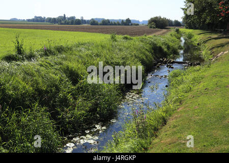 Deutschland, Melle, Bach, Hase, Hase Tal, Naturschutzgebiet der nördlichen Teutoburger Wald, Wiehengebirge, Osning, Osnabrücker Land, Niedersachsen, Melle-Gesmold, Feld, Landschaft, Stockfoto