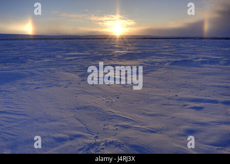 Nordamerika, Kanada, Nord-West-Gebiet, Iceroad, Tuktoyaktuk, solar Hunde, Halo-Ring, Stockfoto