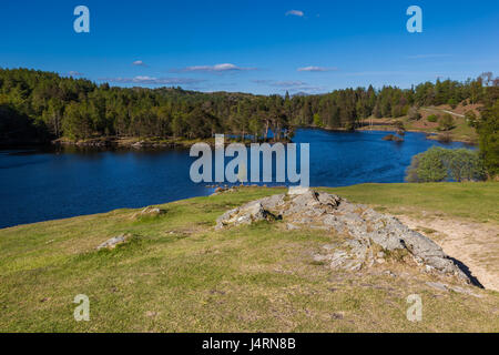 Tarn Hows, in der Nähe von Hawkshead, Seenplatte, Cumbria Stockfoto