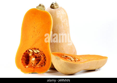 Butternut-Kürbis isoliert auf weißem Hintergrund Stockfoto