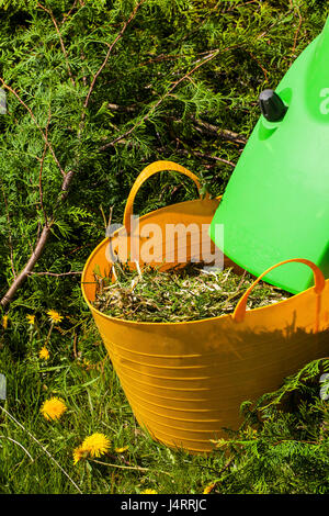 Elektro Garten Häcksler in einem Frühlingsgarten Stockfoto