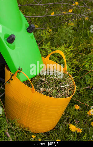 Elektro Garten Häcksler in einem Frühlingsgarten Stockfoto