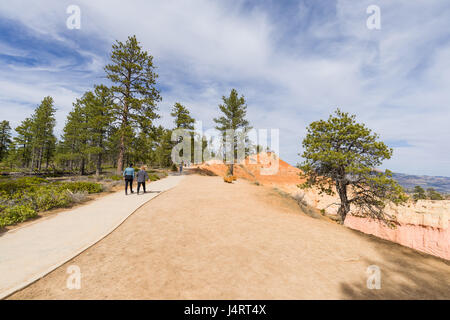 Menschen gehen entlang eines Pfades an der Oberseite des Bryce Canyon National Park an einem sonnigen Frühlingstag, Utah Stockfoto