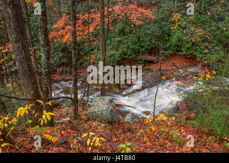 Herbstliche Pracht mit farbigen Blätter und ein Bach fließt in der Mitte Stockfoto
