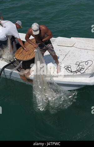 Angeln für Köder mit einer Besetzung net von einem kleinen Boot auf den Golf von Mexiko Florida USA Mann einen Fang kleiner Fische anlanden. April 2017 Stockfoto