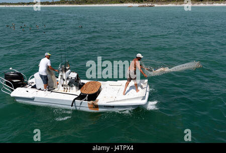 Für Köder Angeln. Mann mit einer Besetzung net von einem kleinen Boot auf den Golf von Mexiko Florida USA Stockfoto