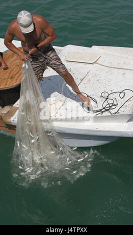 Angeln für Köder mit einer Besetzung net von einem kleinen Boot auf den Golf von Mexiko Florida USA Mann einen Fang kleiner Fische anlanden. April 2017 Stockfoto