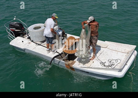 Angeln Für Köder Mit Einem Guss-Netz Von Einem Kleinen Boot Auf Dem Golf  Von Mexiko Florida USA Man Landet Einen Fang Von Kleinen Fischen. April  2017 Lizenzfreie Fotos, Bilder und Stock Fotografie.